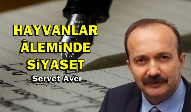 Hayvanlar âleminde siyaset