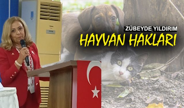 Doğru Parti Genel Başkan Yardımcısı Zübeyde Yıldırım’dan hayvan hakları çıkışı…