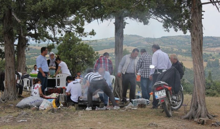 Söğüt Ülkü ocakları piknik şöleni düzenledi