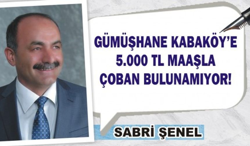 Gümüşhane Kabaköy’e 5.000 TL net maaşla çoban bulunamıyor!