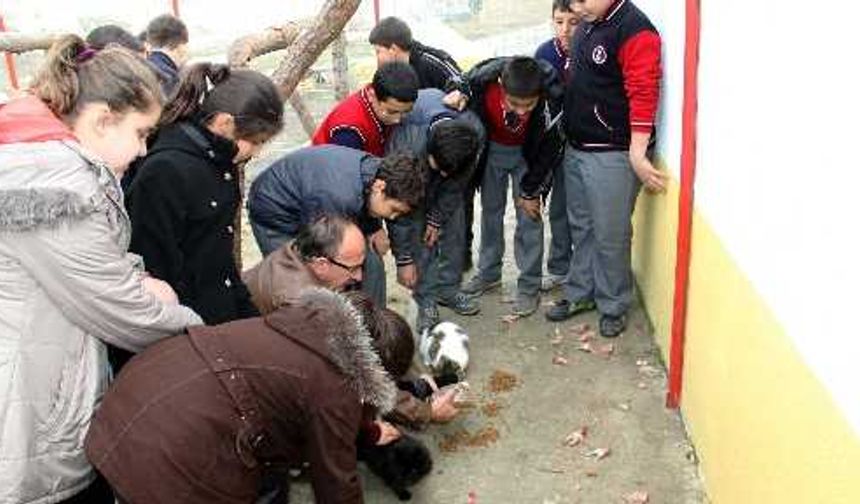 Öğrenciler harçlıklarıyla barınakta kalan hayvanlara yem aldı