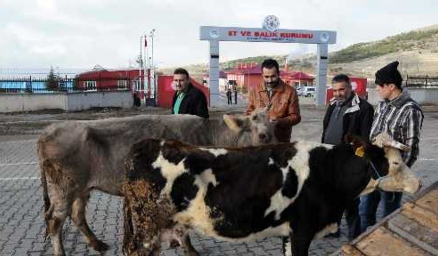 Yozgat’ta bir grup besici Et Balık Kurumu önünde eylem yaptı