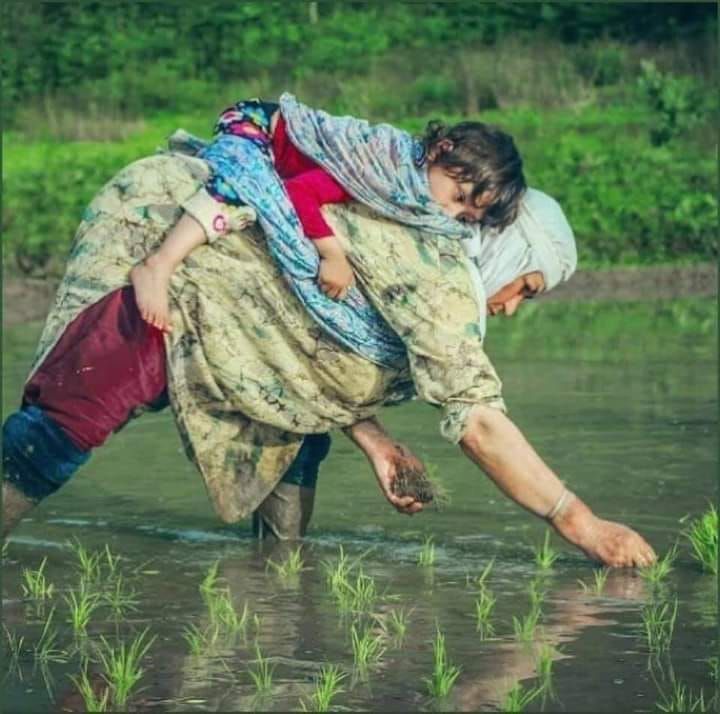 Avrupa’nın bir gelişmişlik sırrı hikayesi
