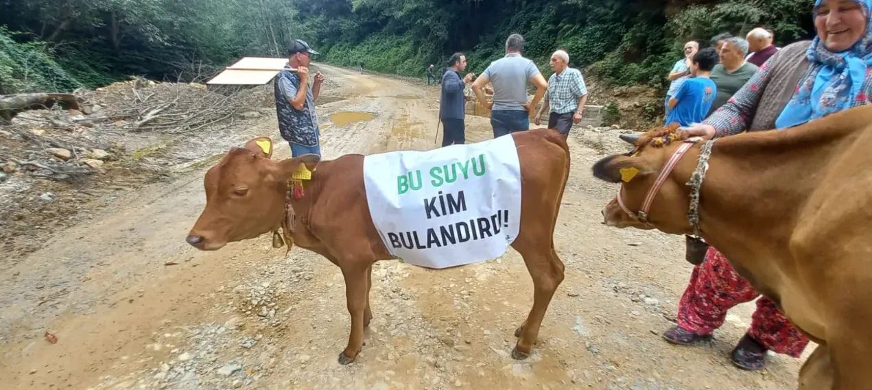 Gümüşhane Sınırında Maden Protestosu Vardı; Süte Atık Bulaştı