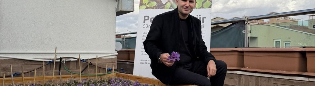 Ülkü Ocakları Genel Merkezi’nin Terasında Safran Hasadı!